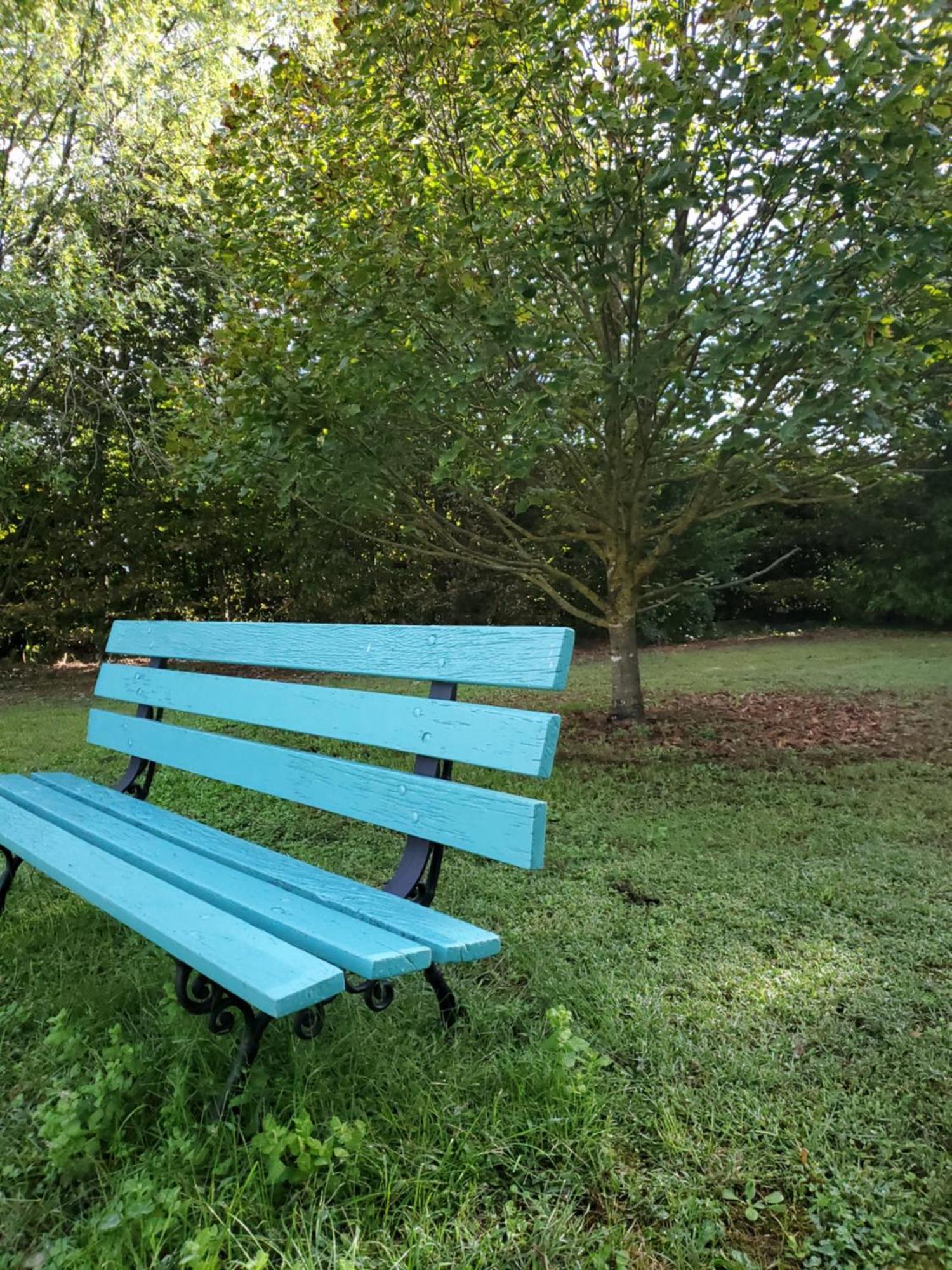 Gémozac Domaine De La Gemoliere Bed & Breakfast エクステリア 写真