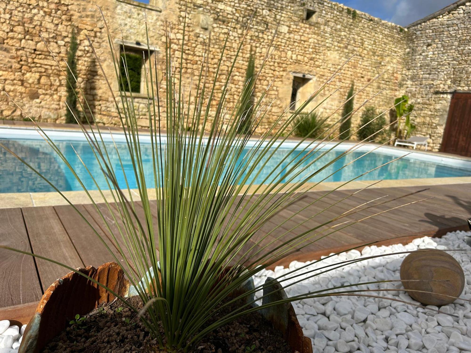 Gémozac Domaine De La Gemoliere Bed & Breakfast エクステリア 写真
