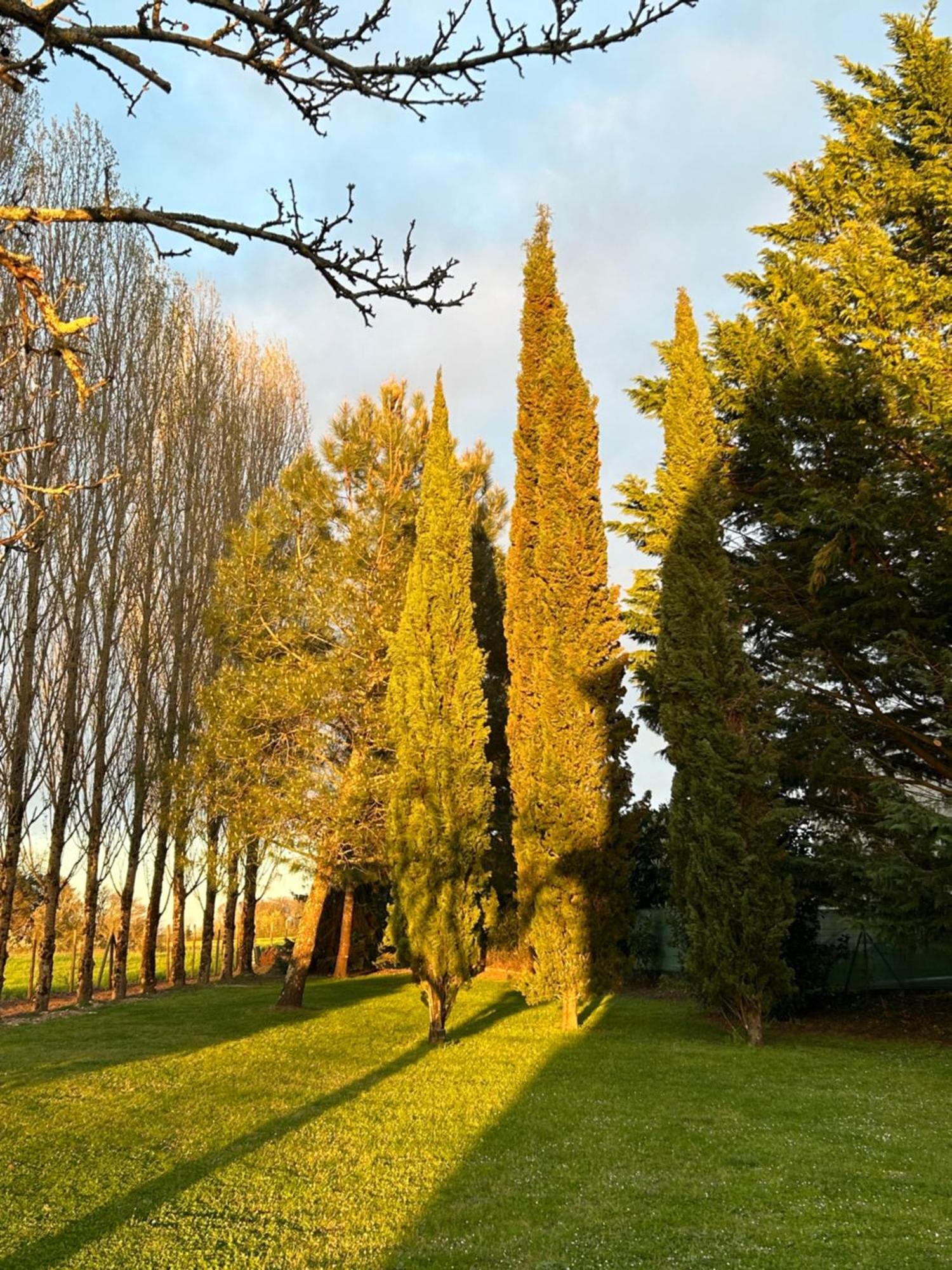 Gémozac Domaine De La Gemoliere Bed & Breakfast エクステリア 写真