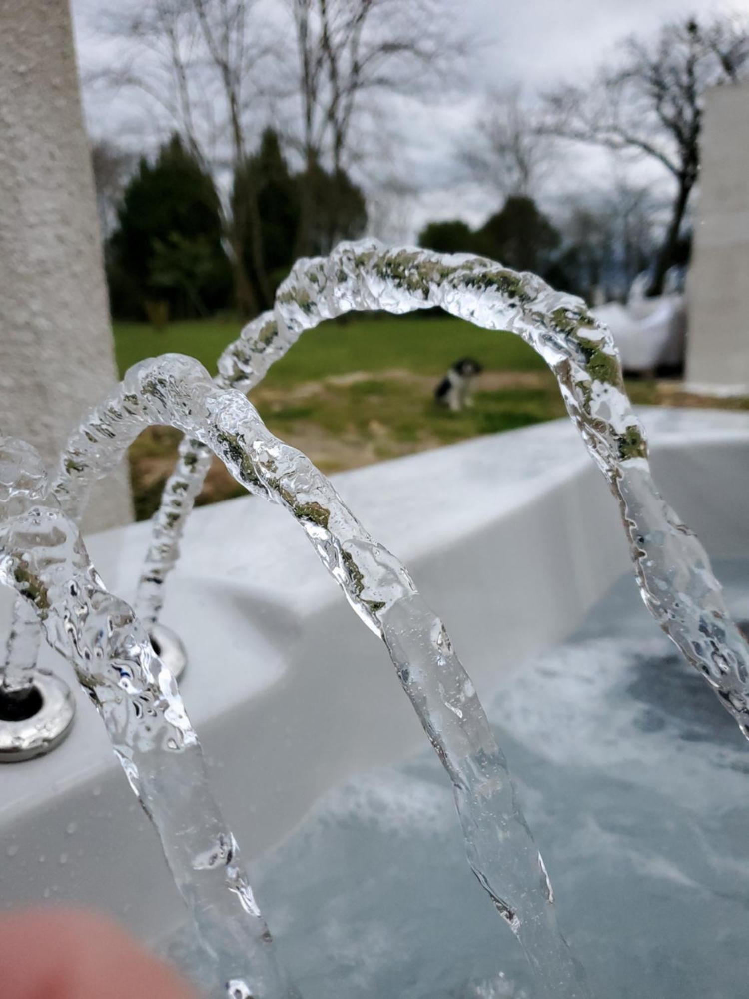 Gémozac Domaine De La Gemoliere Bed & Breakfast エクステリア 写真